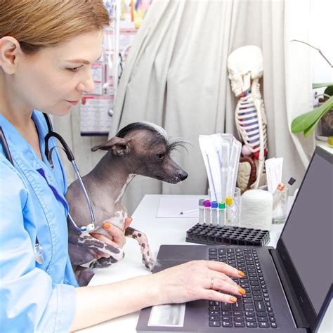 Image result for Veterinary Software Download