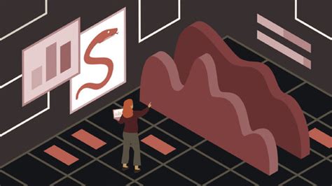 Image result for Advanced Data Visualization Python