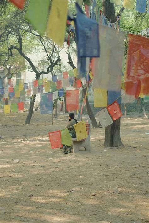 Knowledge Graphs Using Neo4j 的图像结果