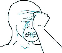 Crying Meme GIFs | Tenor
