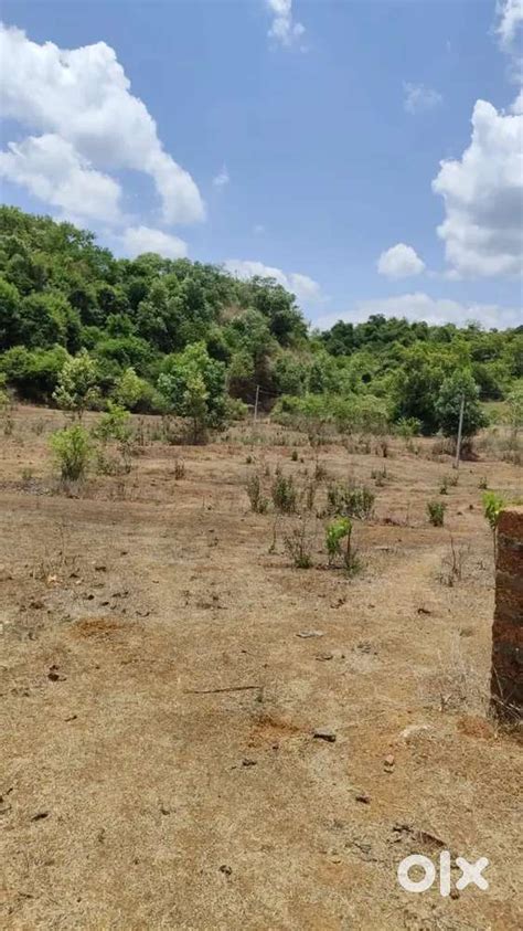 SETTLEMENT PLOTS SANQUELIM UPPER HARVALEM 300 SQMT, @₹7500/SQMT - Lands ...