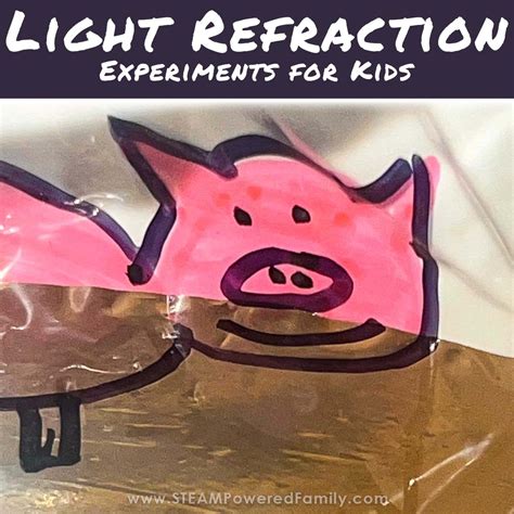 Image result for Example of Refraction of Light