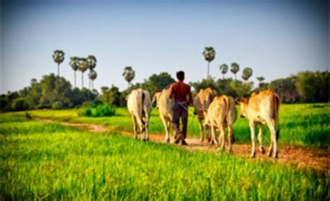 Travelloops (Siem Reap) - 2022 What to Know Before You Go (with Photos ...