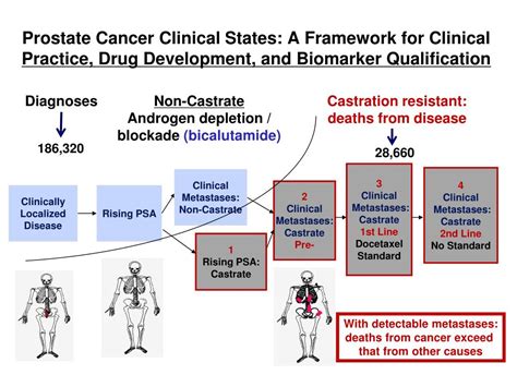 Advanced Prostate Cancer Life Expectancy 的图像结果