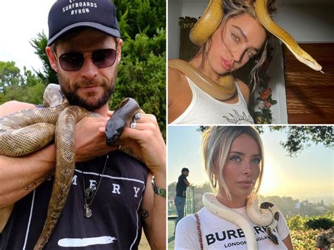 Monty Python Cat Beating 的图像结果