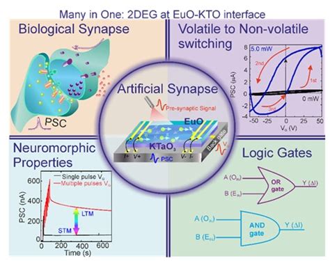 Indian Scientists Develop Artificial Synaptic Chip that Mimic ...