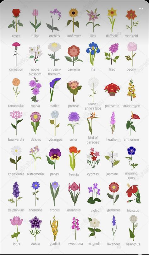25 flowers names flower names list with pictures – Artofit