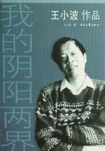 逝世25年，王小波：对权力没兴趣，对钱有些兴趣，但不愿去受罪_生活_工作_想法