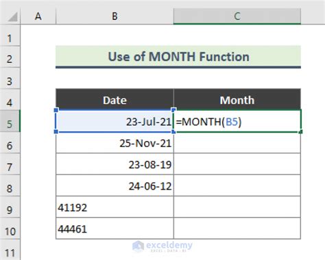 Image result for Excel Month Input Function