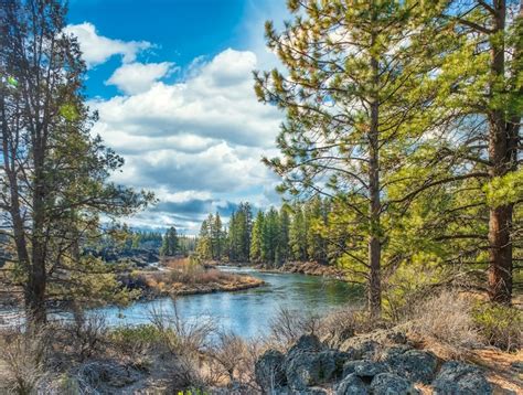 Natural scenery Images - Free Download on Freepik