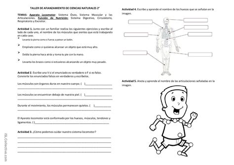 TALLER DE REPASO SOBRE LOS SISTEMAS…: English ESL worksheets pdf & doc
