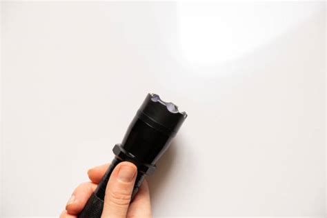 Image result for Flashlight Taser That Repels Dogs