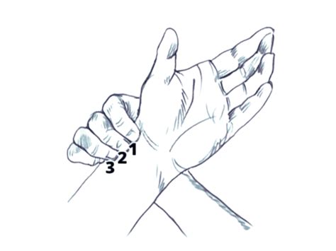 Image result for Mind Human Connection