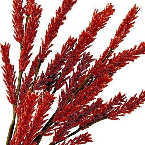 Image result for Rust Pick