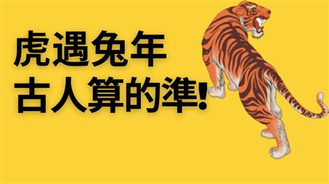 古人預測命運奇準！一定要看完！按照傳統說法：屬虎的人遇到2023年癸卯兔年是這樣，一定要注意！属虎|屬虎|生肖虎|肖虎|屬虎者|生肖虎者|属虎 ...