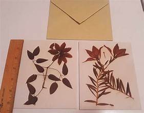 notecard