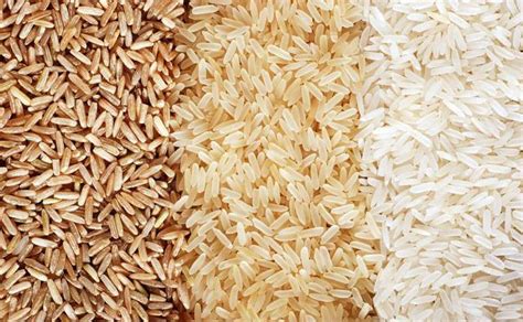 粳米、籼米和糯米，你最爱吃哪种米？