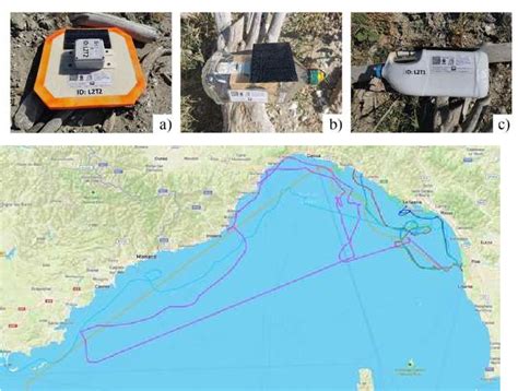 Image result for MLT Sample Size