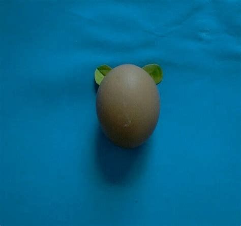 【创意手工】蛋壳也能如此美丽！你从没见过的蛋壳手工！
