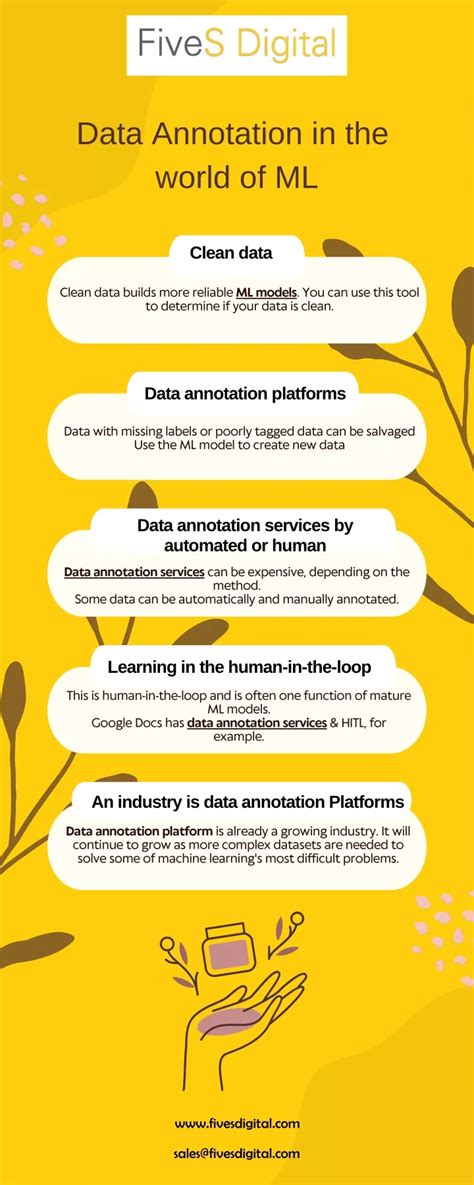 Data Annotation Ml Process 的图像结果