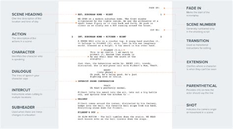 Screen Script 的图像结果