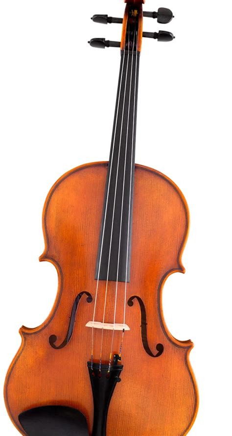 Image result for Viola String Instrument