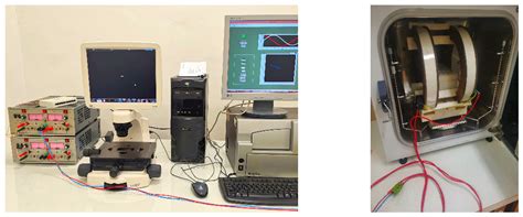 Enhanced Multimodal Effect of Chemotherapy, Hyperthermia and Magneto ...