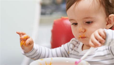 5 Health Benefits of Oats For Babies - lifeberrys.com