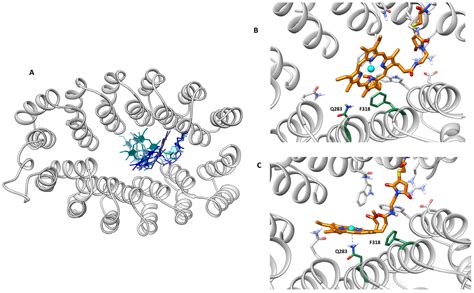 Photocatalytic Hydrogen Production and Carbon Dioxide Reduction ...
