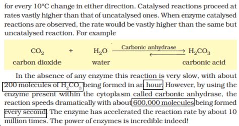 Enzymes: Definition, Functions, and their Structure