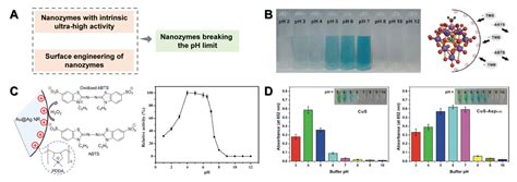 Rational Design of Nanozymes Enables Advanced Biochemical Sensing