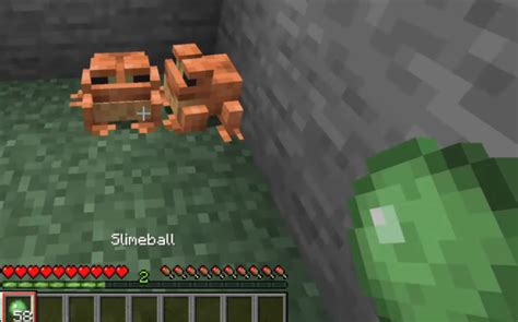 All About Frogs & How To Breed Frogs In Minecraft