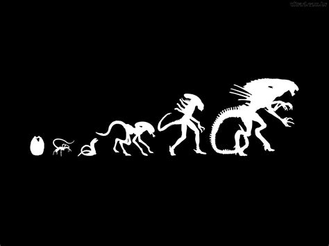 Alien Xenomorph Evolution 的图像结果
