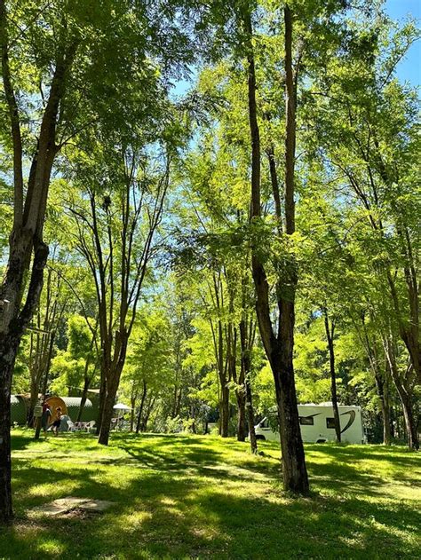 CAMPING L'AMITIE (Trebas) - Campground Reviews & Photos - Tripadvisor