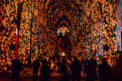 Winchester: Light show to fill cathedral with sea of poppies - BBC News
