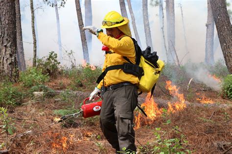 Tierra De Fuego 《 OPINIONES