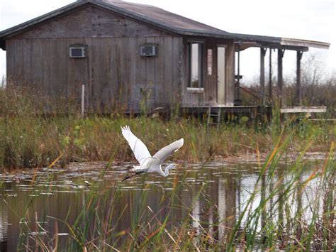DEERFIELD BEACH AIRBOAT RIDES (2026) All You Need to Know BEFORE You Go ...