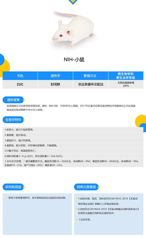 NIH-小鼠_长春市亿斯实验动物技术有限责任公司