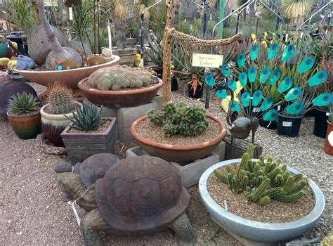 Mesquite Growers Tucson Arizona