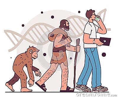 Human Evolution Stages. Evolutionary Development From Primate Royalty ...