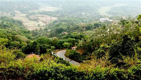 Coorg to Ooty Road Trip: Get Ready For A Thrilling Experience