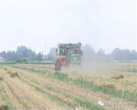中财教授王福重：让农民别用收割机割麦，环境会受污染