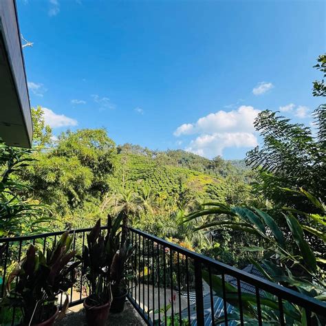 LUSH ACRES (Thekkady, Kerala) - Lodging Reviews, Photos, Rate ...