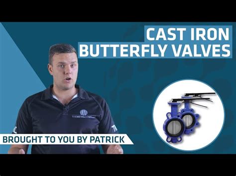 Leader Valves - LEADER MAKE Cast Carbon Steel Butterfly Valve Trader ...