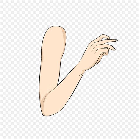 Hand Arm Clip Art