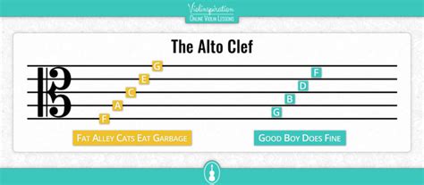Image result for Viola Clef Notes