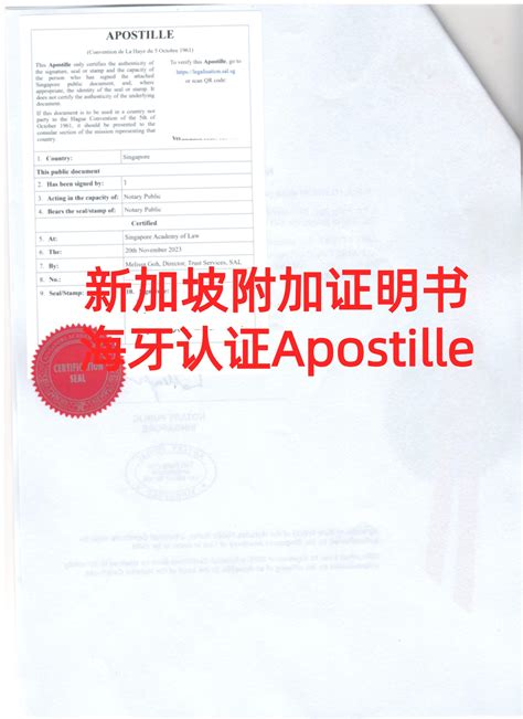 新加坡附加证明书海牙认证apostille - 知乎