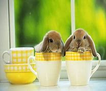 Image result for Isaac Mizrahi Bunny Coffee Cup