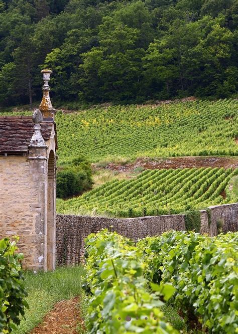 Chambertin Clos de Béze Rousseau 1994/シャンベルタン・クロ・ド・ベーズ 1994｜Fine and Rare