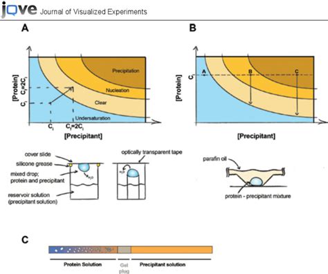 Image result for Protein Crystallization System